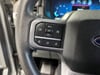 26 thumbnail image of  2025 Ford F-150 XLT