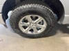 31 thumbnail image of  2025 Ford F-150 XLT