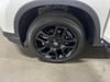 31 thumbnail image of  2025 Honda Passport Black Edition