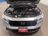 8 thumbnail image of  2023 Honda Accord EX