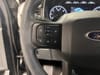 25 thumbnail image of  2023 Ford F-150 XLT