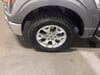 29 thumbnail image of  2023 Ford F-150 XLT