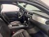 11 thumbnail image of  2013 Ford Mustang GT Premium