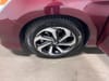 29 thumbnail image of  2016 Honda Accord EX-L