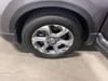 29 thumbnail image of  2019 Honda CR-V EX-L