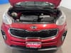 9 thumbnail image of  2017 Kia Sportage EX