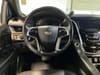 21 thumbnail image of  2019 Cadillac Escalade ESV Platinum Edition