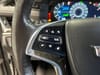 25 thumbnail image of  2019 Cadillac Escalade ESV Platinum Edition