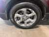 30 thumbnail image of  2019 Honda CR-V EX-L