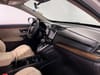 11 thumbnail image of  2019 Honda CR-V EX