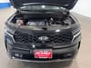 9 thumbnail image of  2021 Kia Sorento SX-Prestige