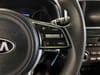25 thumbnail image of  2022 Kia Sportage LX