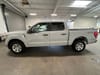 6 thumbnail image of  2023 Ford F-150 XLT