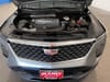 9 thumbnail image of  2024 Cadillac XT4 Premium Luxury