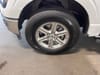 29 thumbnail image of  2024 Ford F-150 XLT
