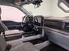 11 thumbnail image of  2024 Ford F-150 XLT