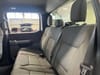 19 thumbnail image of  2024 Ford F-150 XLT
