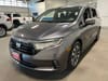7 thumbnail image of  2024 Honda Odyssey EX-L