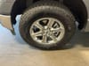 30 thumbnail image of  2025 Ford F-150 XLT