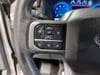 26 thumbnail image of  2025 Ford F-150 XLT