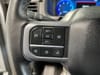 24 thumbnail image of  2025 Ford F-150 XLT