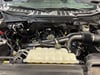 9 thumbnail image of  2025 Ford F-150 XLT
