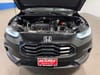 9 thumbnail image of  2025 Honda HR-V Sport
