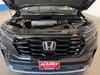 9 thumbnail image of  2025 Honda Pilot TrailSport