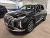 7 imagen en miniatura de 2024 Hyundai Palisade Calligraphy