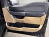 14 thumbnail image of  2023 Ford F-150 XLT