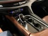 29 thumbnail image of  2019 Buick Enclave Avenir