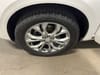 30 thumbnail image of  2019 Buick Enclave Avenir