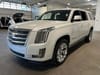 8 imagen en miniatura de 2019 Cadillac Escalade ESV Platinum Edition