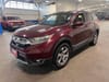 7 imagen en miniatura de 2019 Honda CR-V EX-L