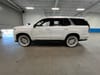 6 thumbnail image of  2023 Cadillac Escalade Premium Luxury