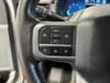 25 thumbnail image of  2024 Ford F-150 XLT