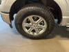 30 thumbnail image of  2024 Ford F-150 XLT