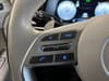 22 imagen en miniatura de 2024 Hyundai Palisade Calligraphy