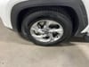 31 thumbnail image of  2024 Hyundai Tucson SEL