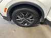 30 thumbnail image of  2024 Volkswagen Tiguan 2.0T SE