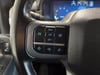 22 thumbnail image of  2025 Ford F-150 XLT
