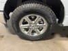 28 thumbnail image of  2025 Ford F-150 XLT