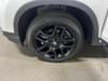 31 thumbnail image of  2025 Honda Passport Black Edition