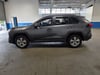 6 thumbnail image of  2025 Toyota RAV4 XLE