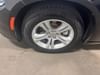 29 thumbnail image of  2023 Dodge Charger SXT