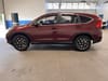 6 thumbnail image of  2016 Honda CR-V SE