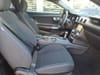 23 thumbnail image of  2022 Ford Mustang
