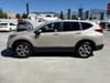23 thumbnail image of  2017 Honda CR-V EX-L