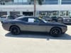 26 thumbnail image of  2018 Dodge Challenger SXT