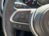 10 thumbnail image of  2019 FIAT 500L Trekking